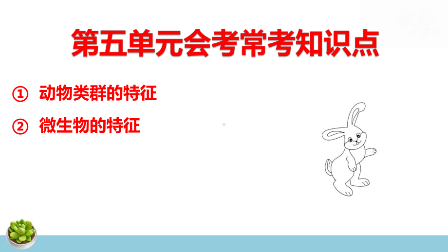 人教版八年级上册生物期末复习课件含期末综合测试 共91张.pptx_第3页