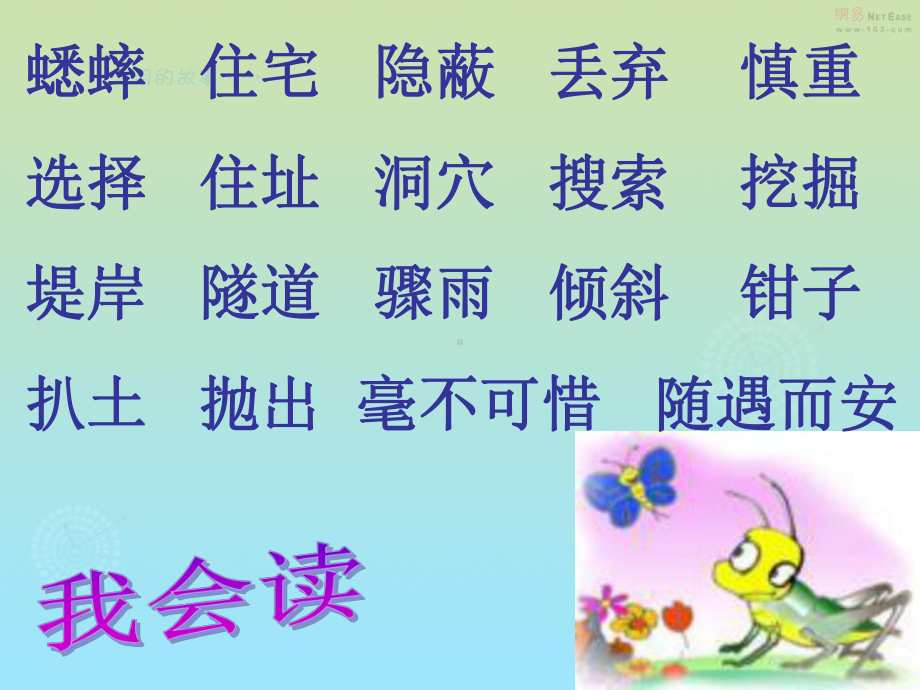 蟋蟀的住宅.ppt_第2页