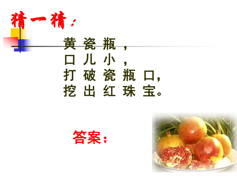 石榴课件3.ppt_第1页