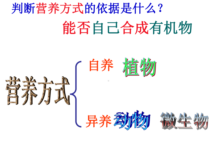 细菌PPT课件.ppt_第3页