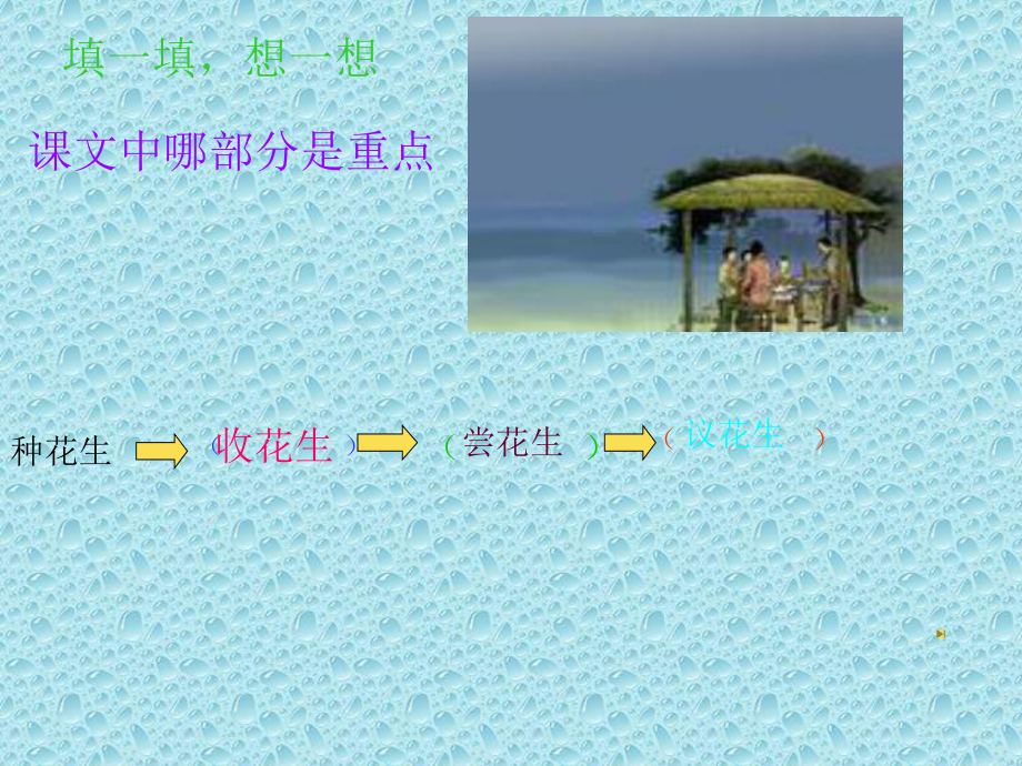 落花生-副本.ppt_第2页