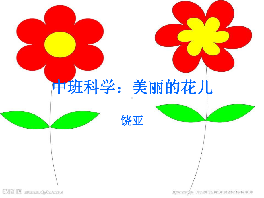 美丽的花儿.ppt_第1页