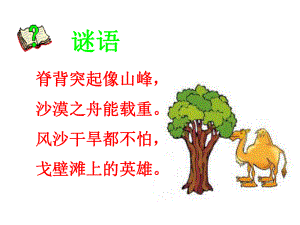 找骆驼10.ppt