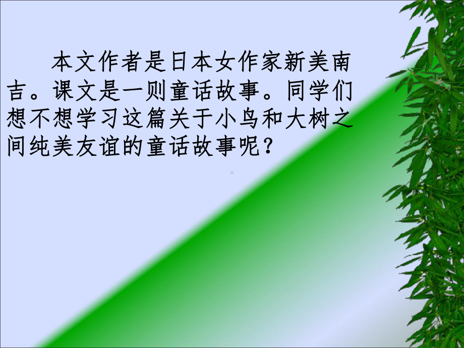 去年的树PPT.ppt_第2页