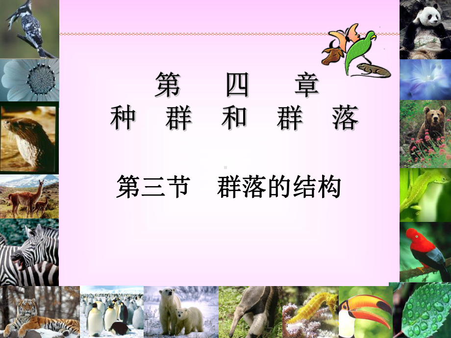 群落的结构.ppt_第1页