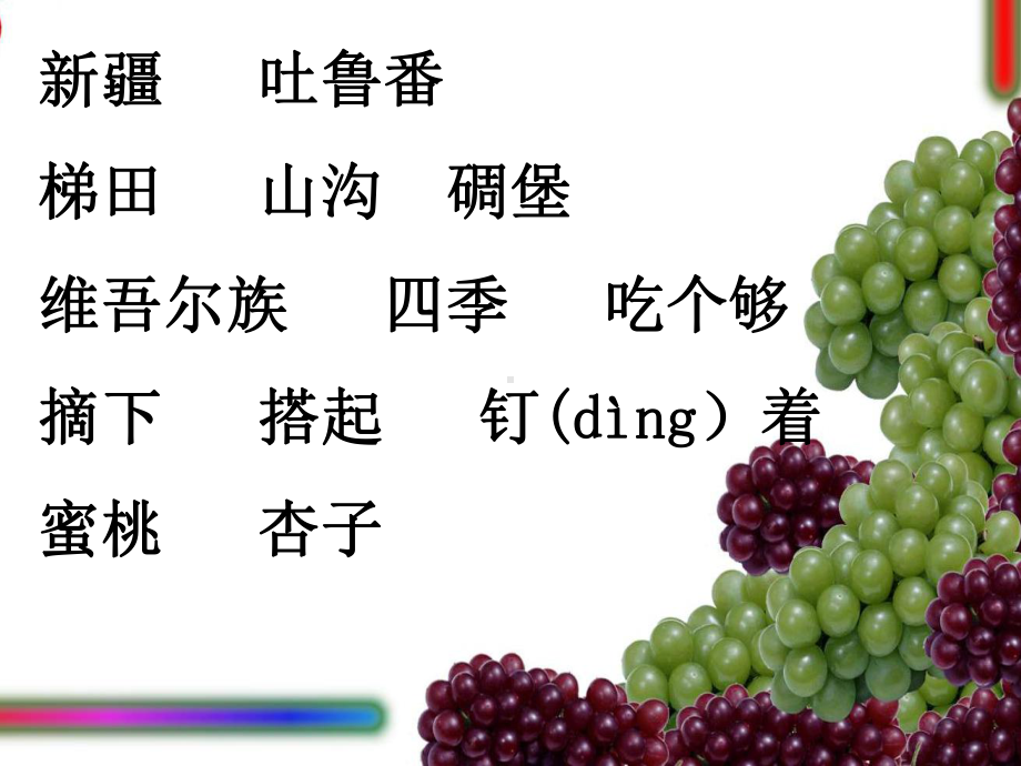 葡萄沟课件.ppt_第2页