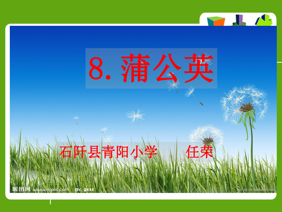 蒲公英 (2).ppt_第1页