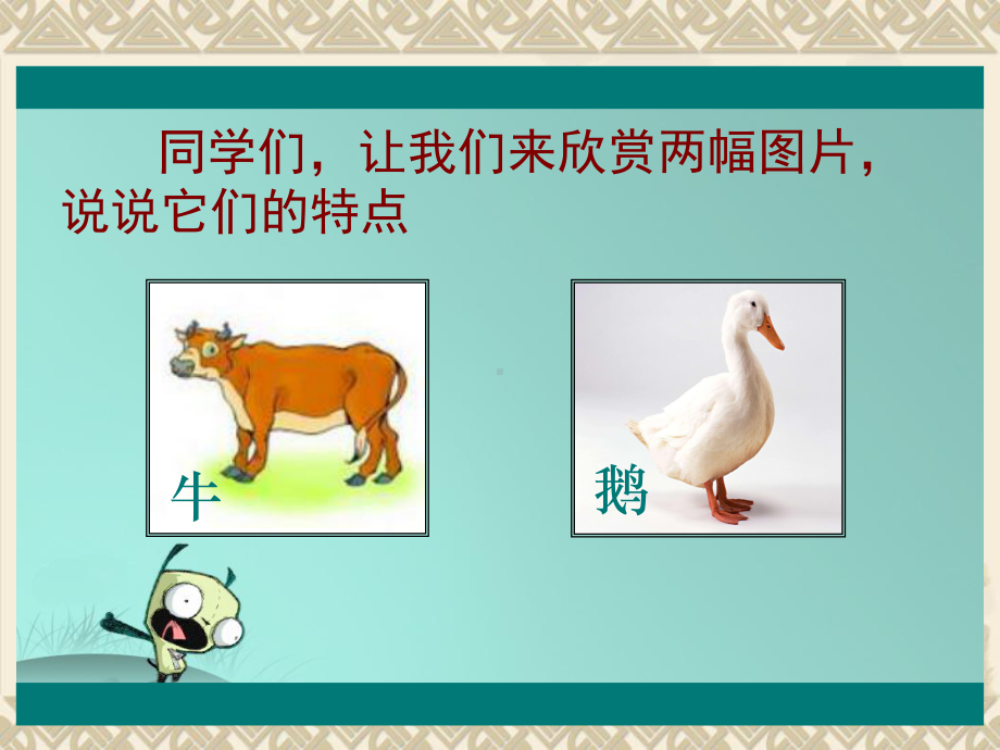 牛和鹅课件.ppt_第1页