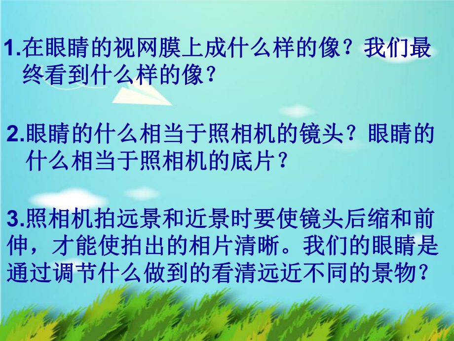 神奇的眼睛.ppt_第3页