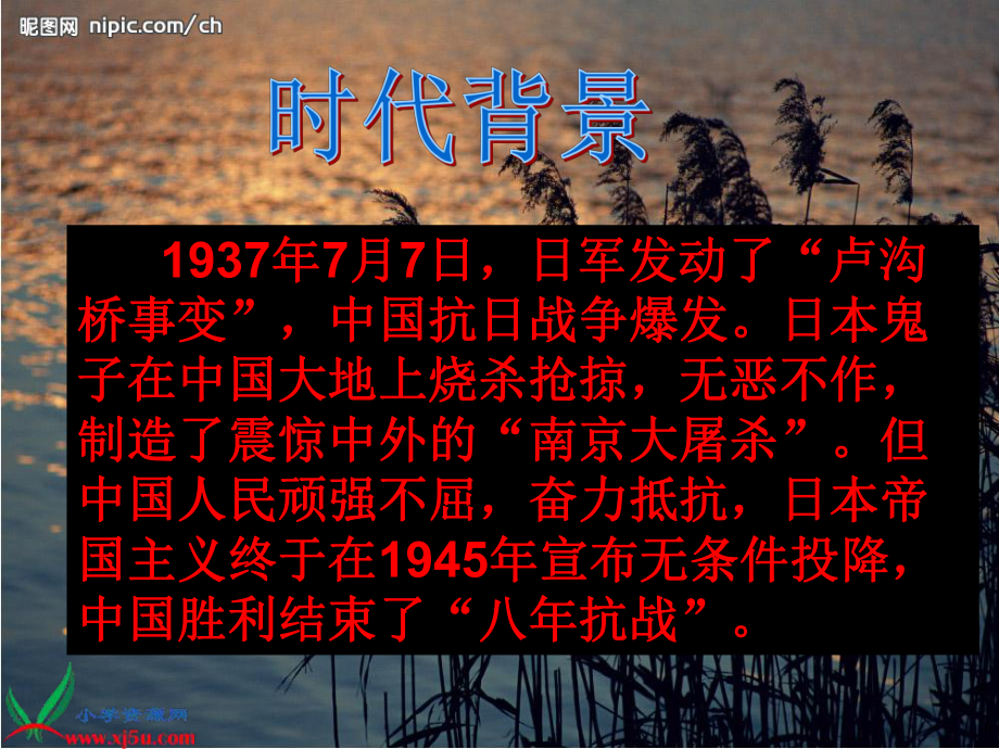 六年级语文上册七战争3雨来没有死课件.ppt_第2页