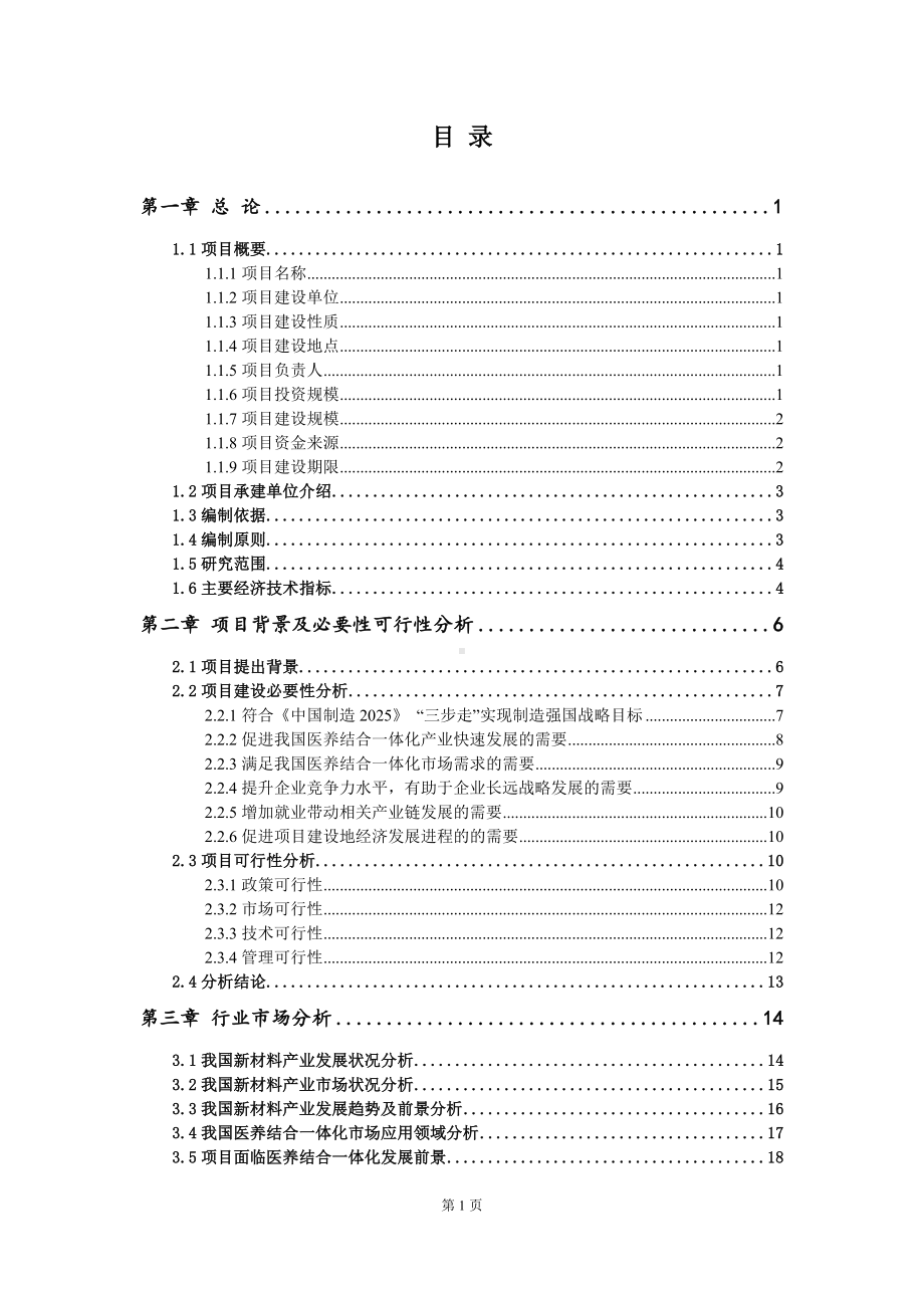 重点项目医养结合一体化建设项目可行性研究报告申请立项备案可修改案例.wps_第2页