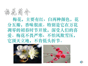 梅花魂(优.ppt