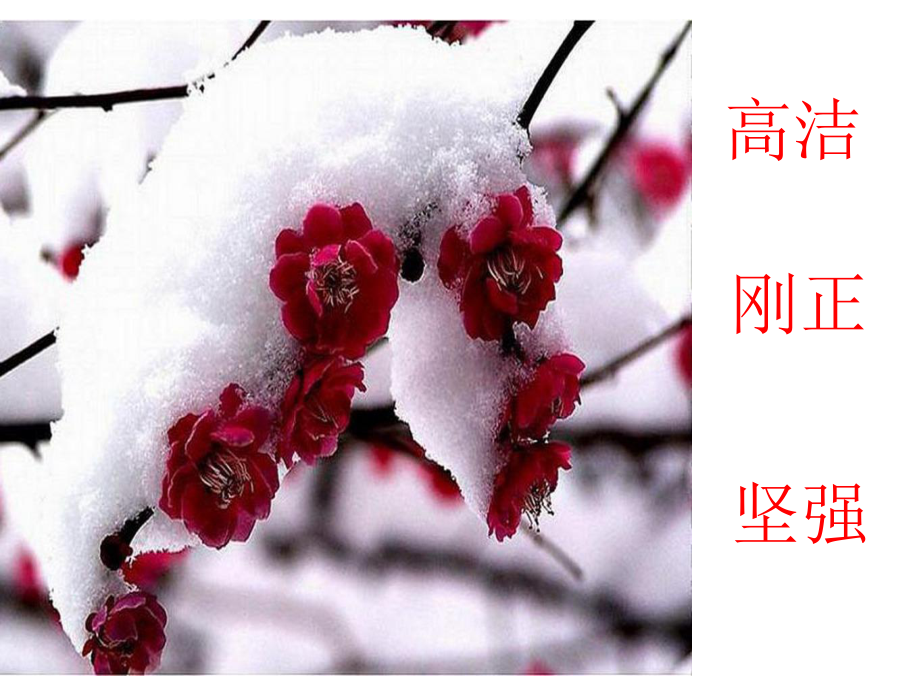 踏雪寻梅1.ppt_第3页