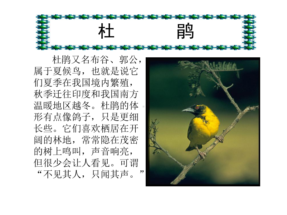 夜莺的歌声.ppt_第3页