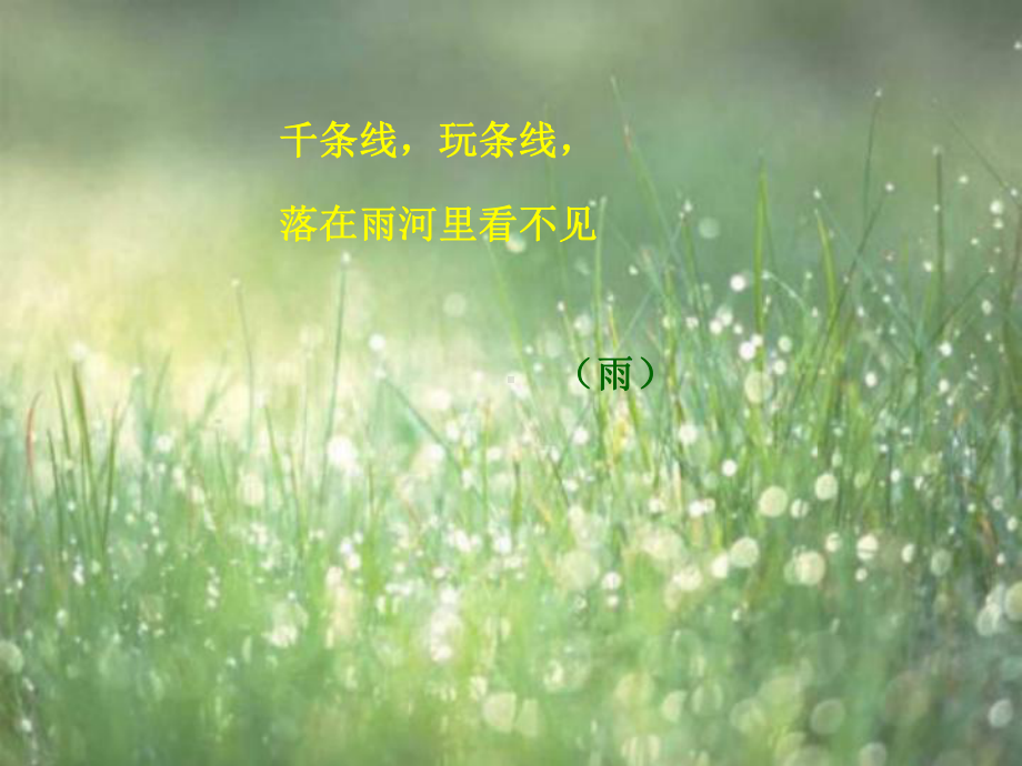 小露珠课件.ppt_第1页