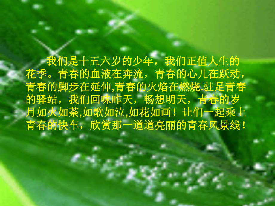 青春 (2).ppt_第1页