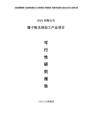 橡子粉及深加工产品项目可行性研究报告申请备案.doc