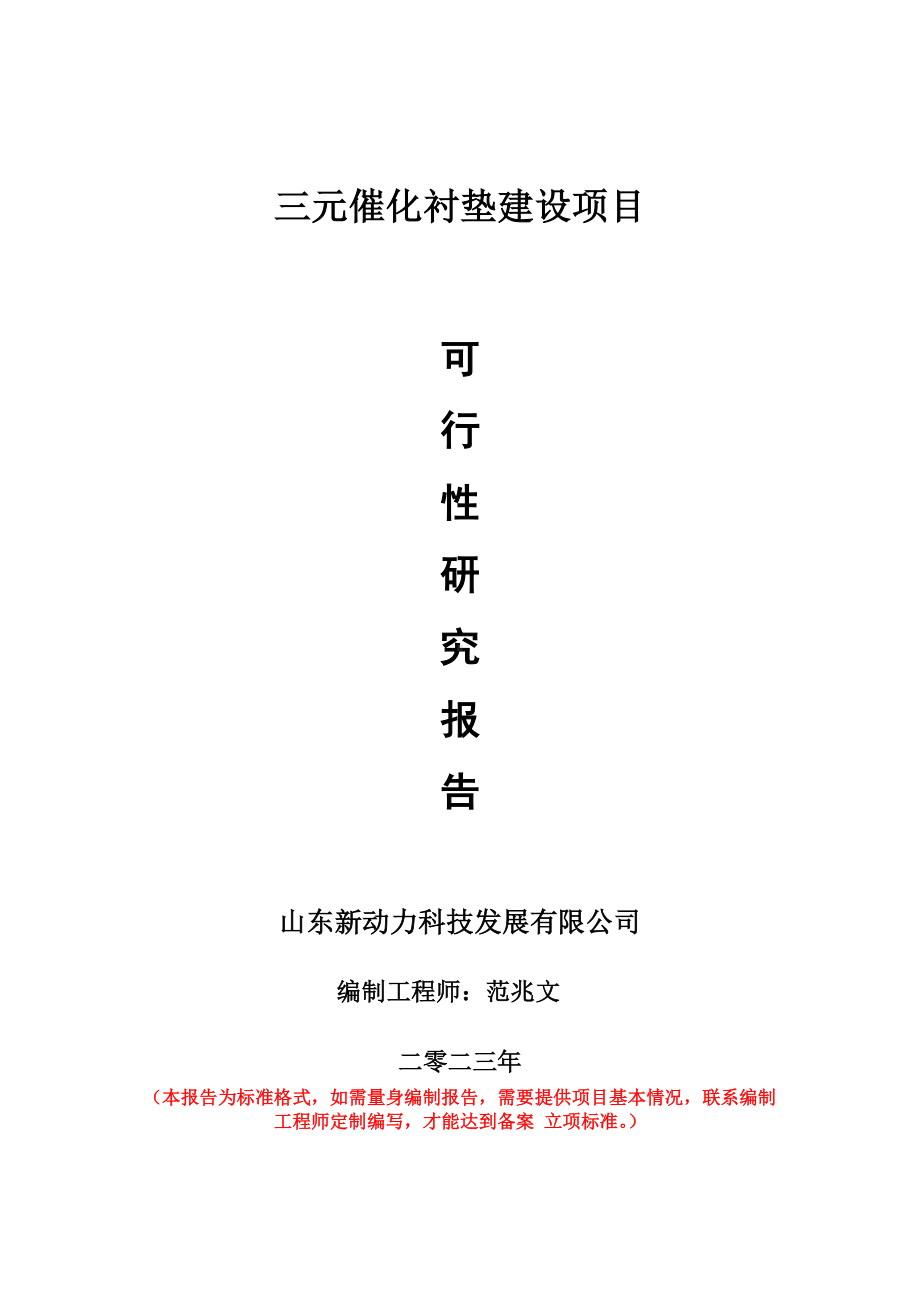 重点项目三元催化衬垫建设项目可行性研究报告申请立项备案可修改案例.wps_第1页