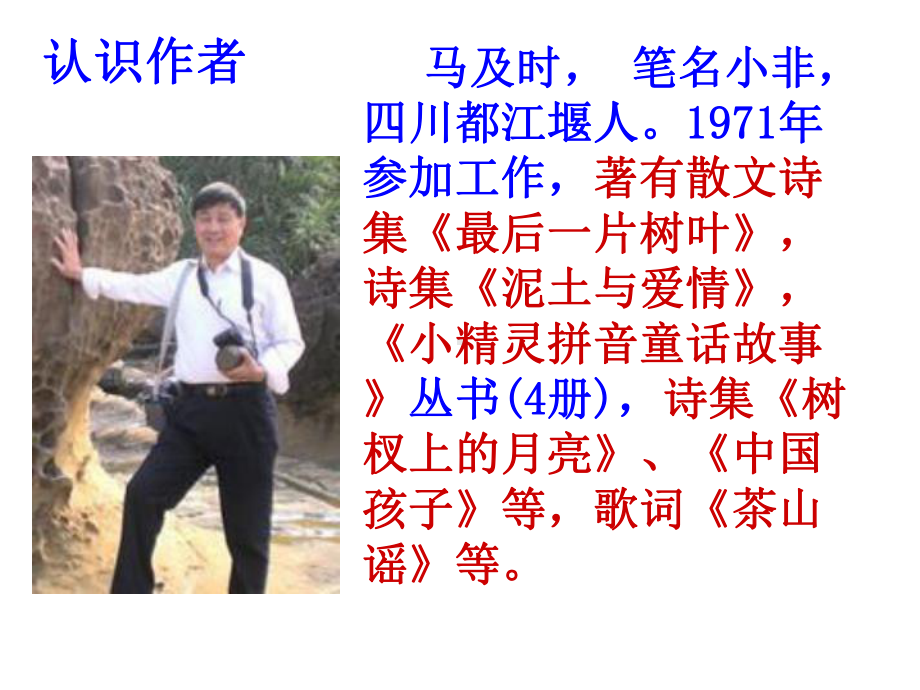 王几何课件.ppt_第2页