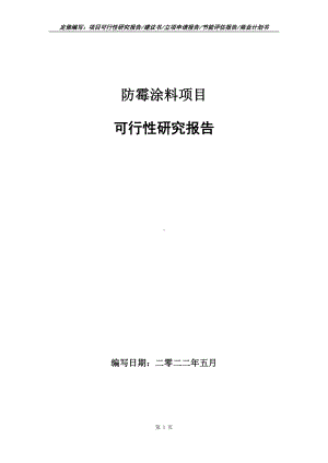 防霉涂料项目可行性报告（写作模板）.doc