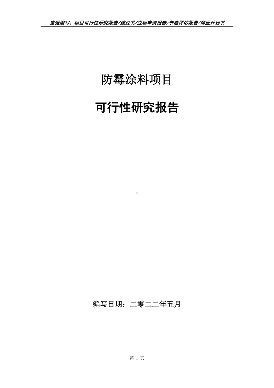 防霉涂料项目可行性报告（写作模板）.doc_第1页