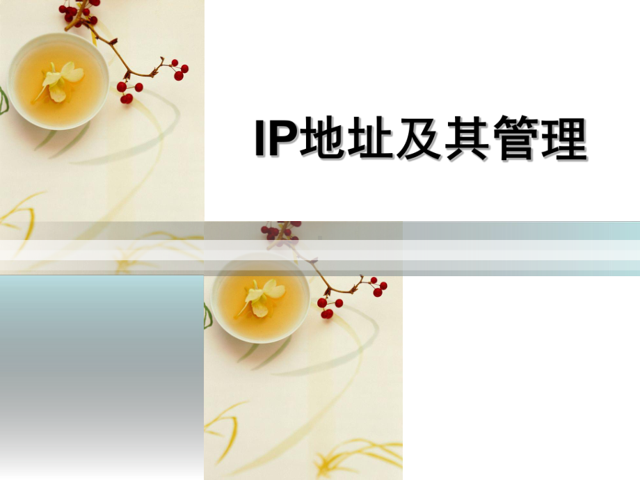 22IP地址及其管理.ppt_第1页