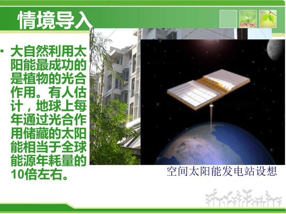 213绿色植物的光合作用.ppt_第3页