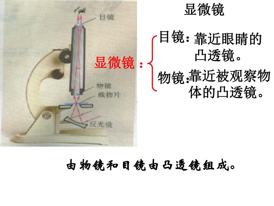 35显微镜和望远镜PPT课件.ppt_第2页