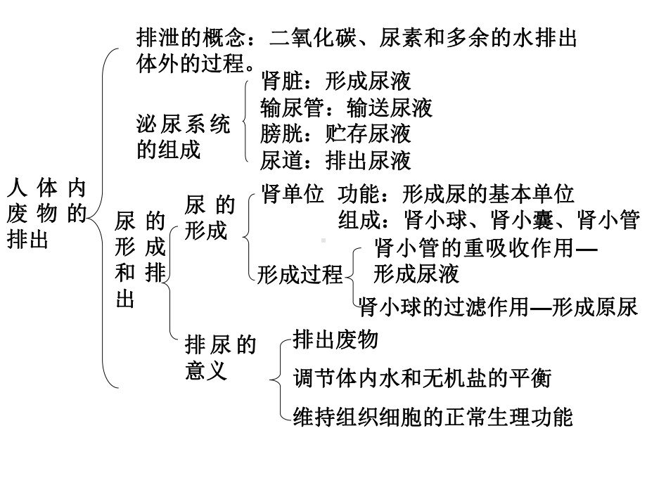 5人体内废物的排出复习.ppt_第2页