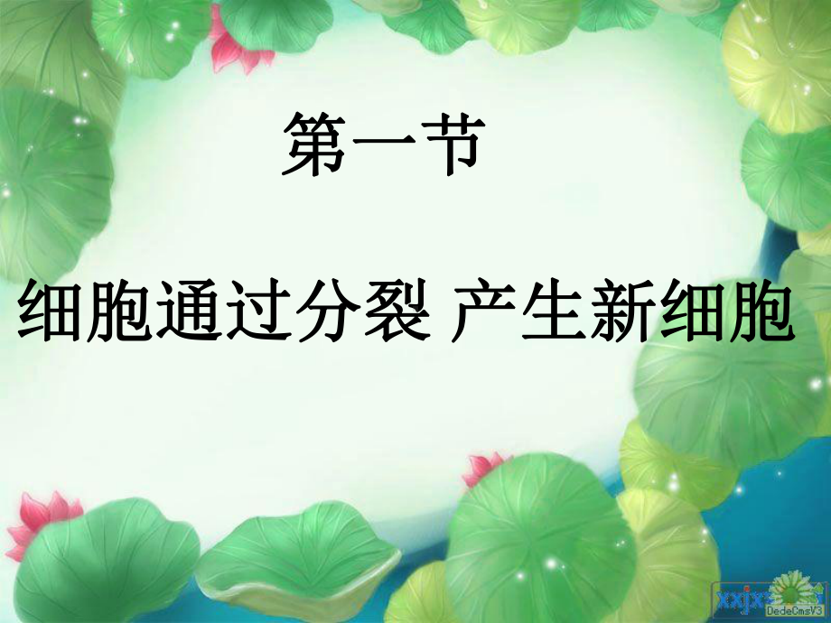 第二章第一节细胞通过分裂产生新细胞.ppt_第2页