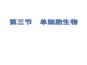 224单细胞生物课件上课用(新人教版).ppt