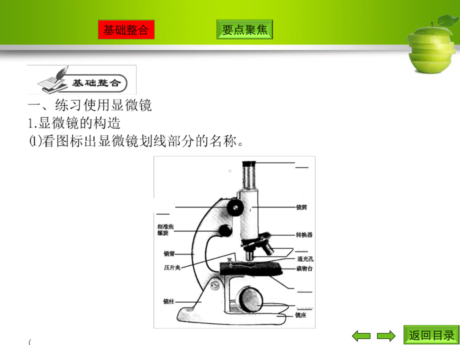 第二讲　观察细胞的结构.ppt_第2页