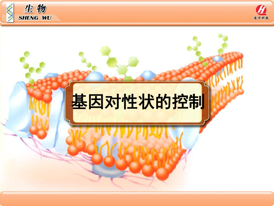 生物学②必修4[1]2《基因对性状的控制》PPT课件.ppt_第1页