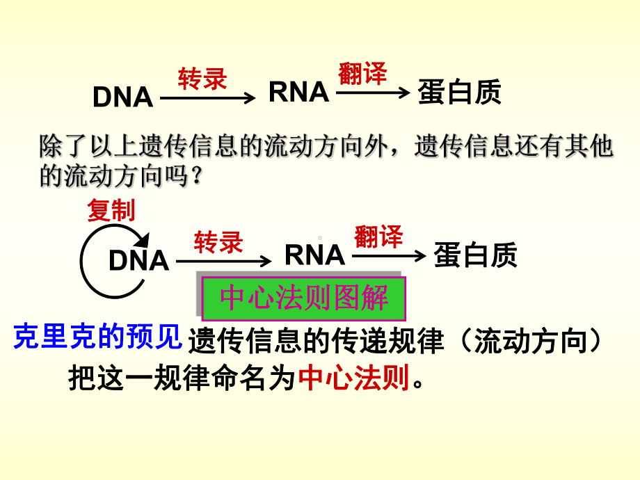 生物学②必修4[1]2《基因对性状的控制》PPT课件.ppt_第3页