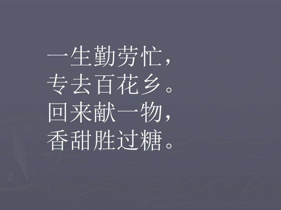 14《蜜蜂》课件.ppt_第1页