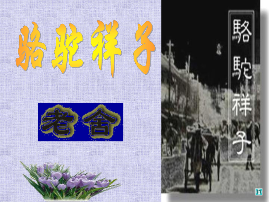 《骆驼祥子》名著导读.ppt_第1页