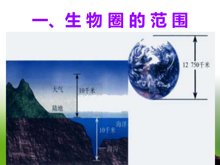 《生物圈是最大的生态系统》PPT课件.ppt_第2页