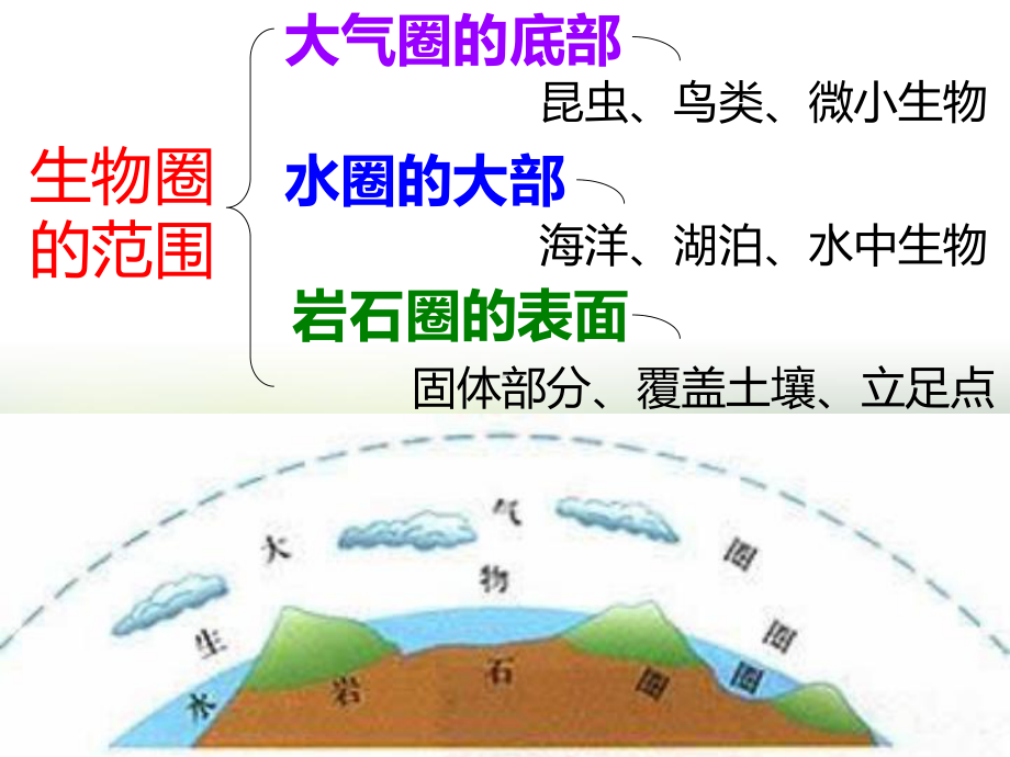 《生物圈是最大的生态系统》PPT课件.ppt_第3页