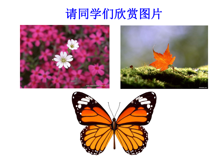 121轴对称（一）.ppt_第3页