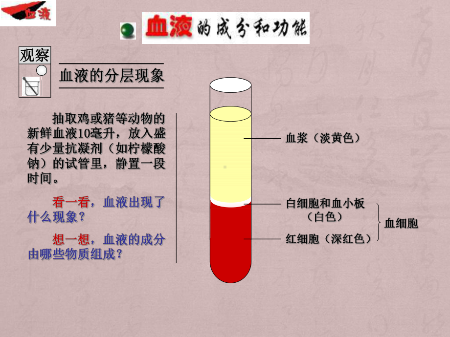 七年级生物血液.ppt_第3页