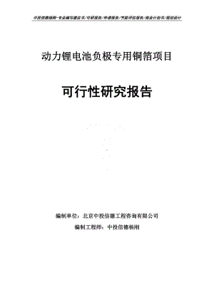 动力锂电池负极专用铜箔项目可行性研究报告案例.doc