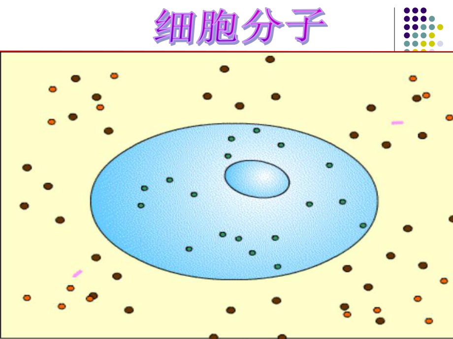 54世界是运动的.ppt_第3页