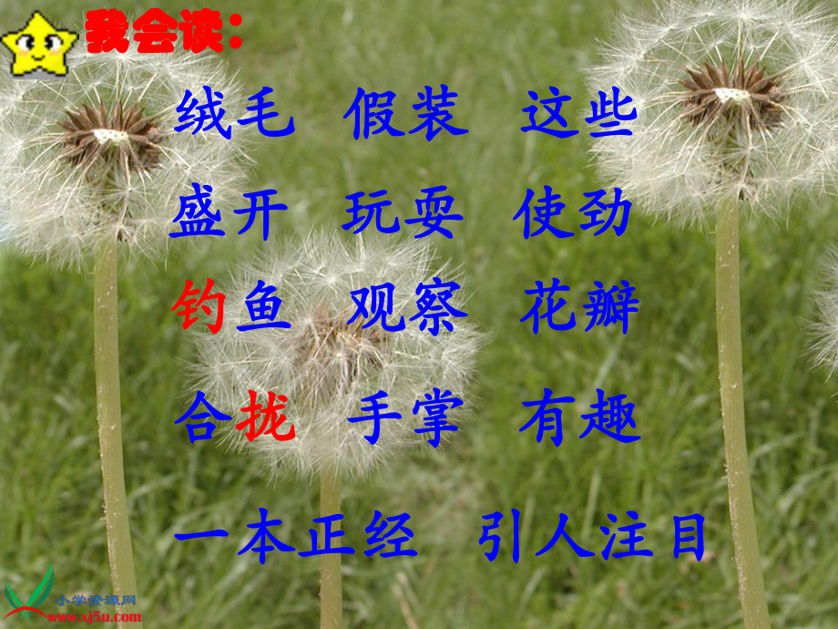 《金色的草地》.ppt_第3页