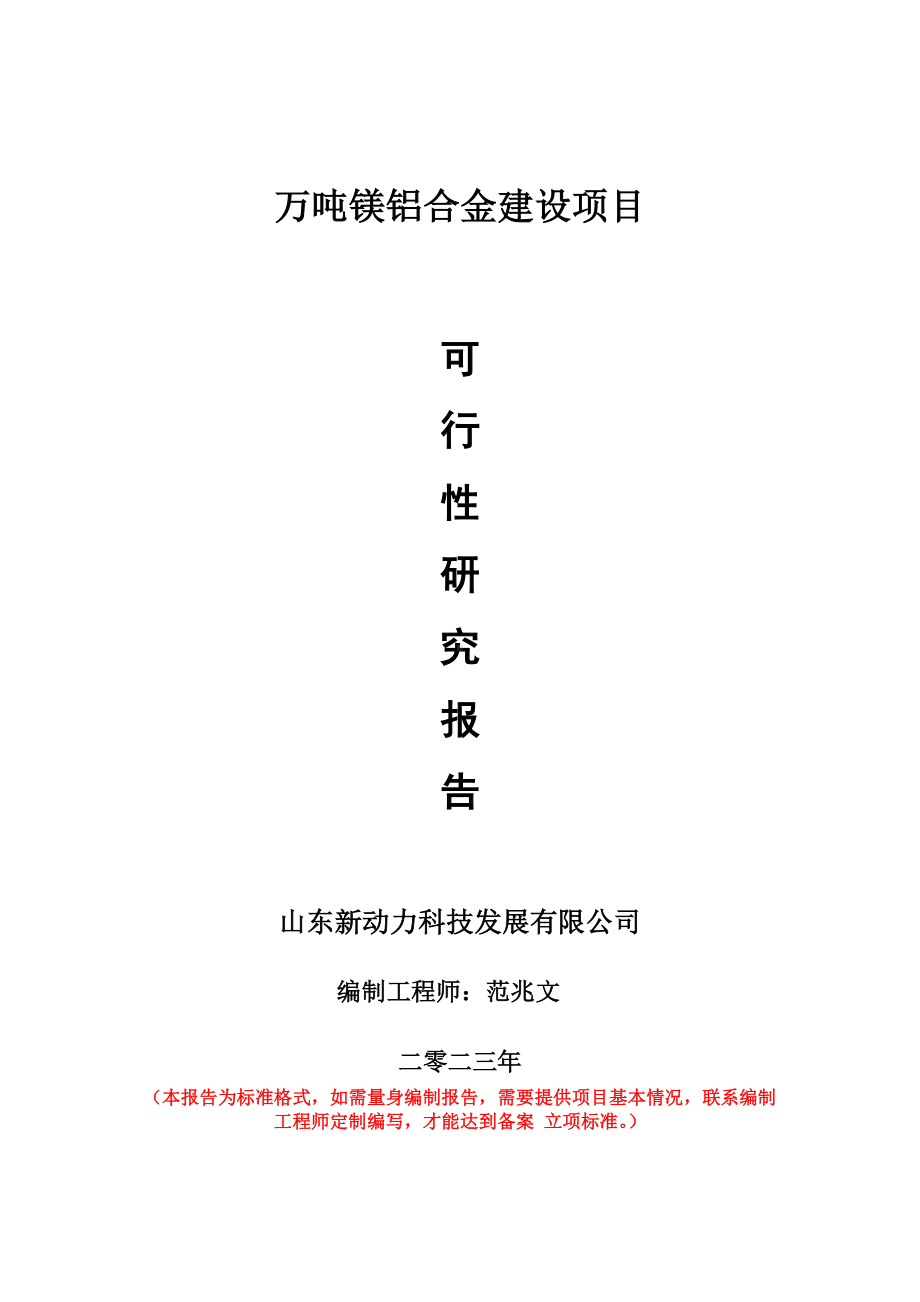 重点项目万吨镁铝合金建设项目可行性研究报告申请立项备案可修改案例.wps_第1页