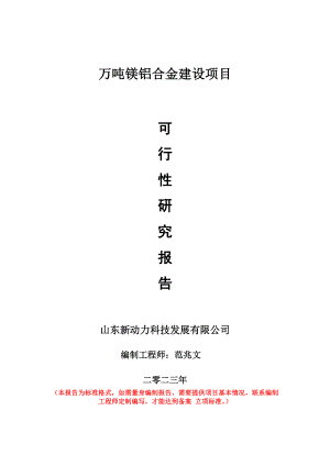 重点项目万吨镁铝合金建设项目可行性研究报告申请立项备案可修改案例.wps