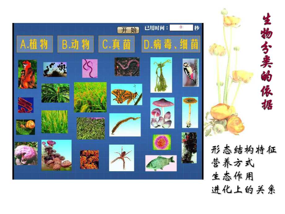 221生物的分类.ppt_第3页