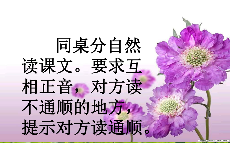 《自然界的时钟》.ppt_第3页