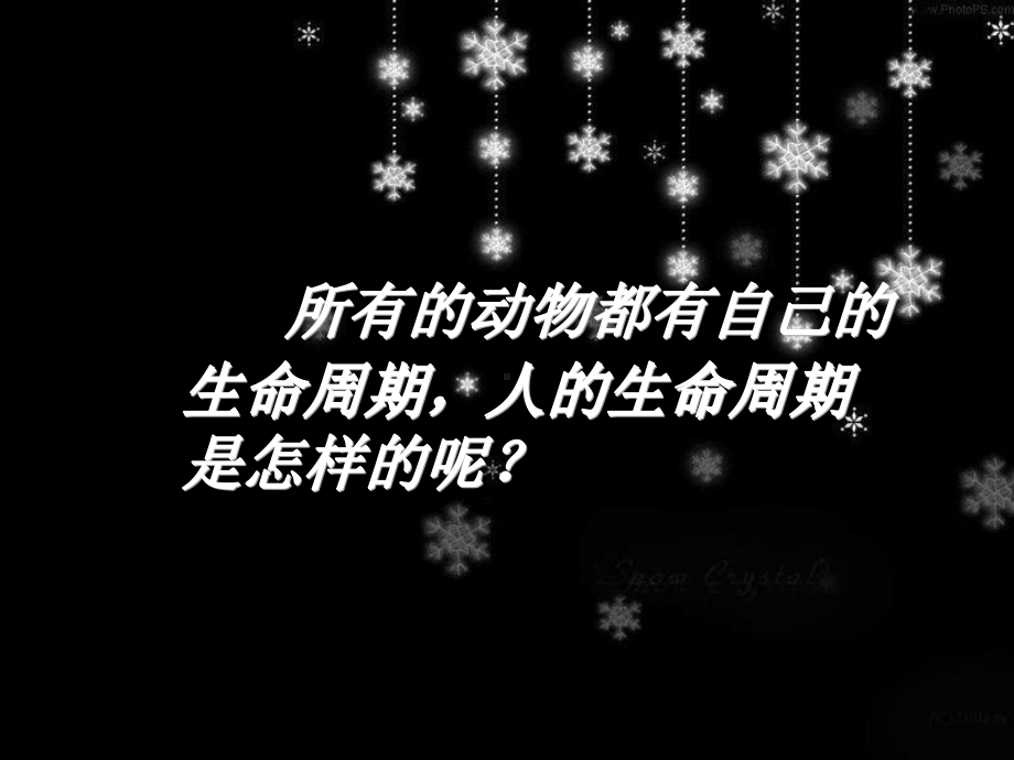 2-7我们的生命周期.ppt_第2页