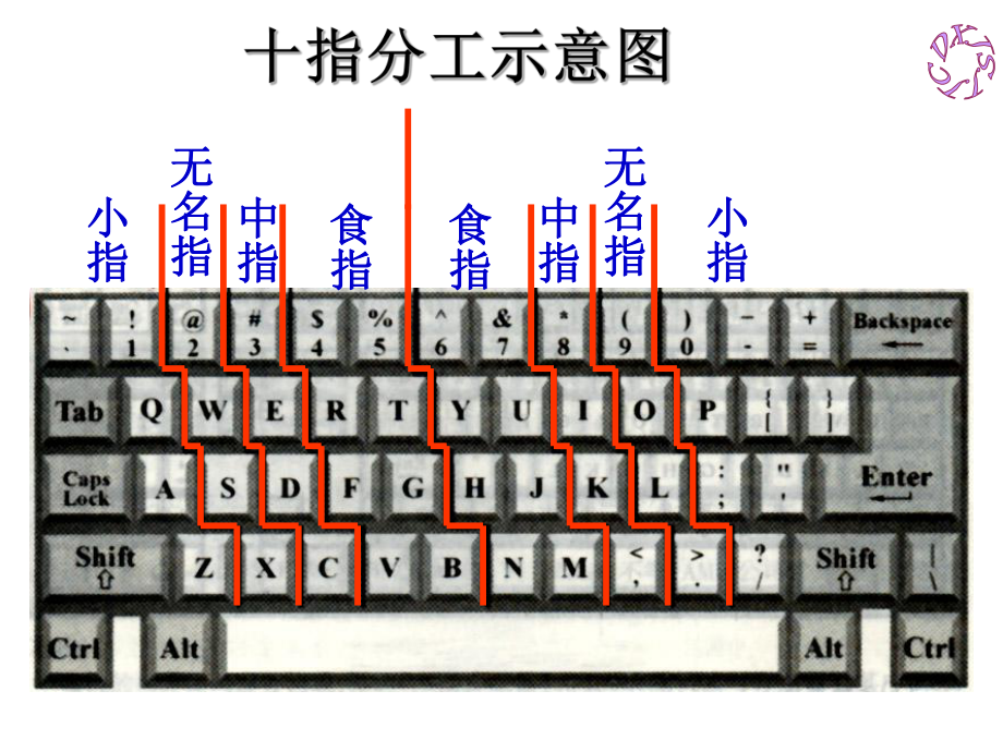 十指分工示意图.ppt_第1页