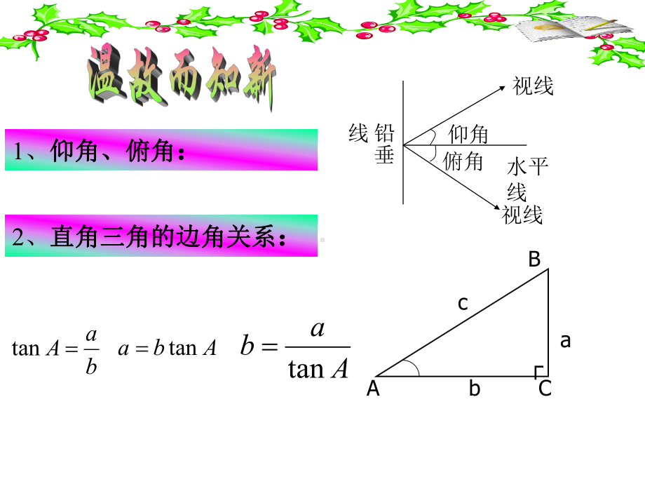 解直角三角形的应用[北师大版]3.ppt_第2页